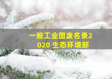 一般工业固废名录2020 生态环境部